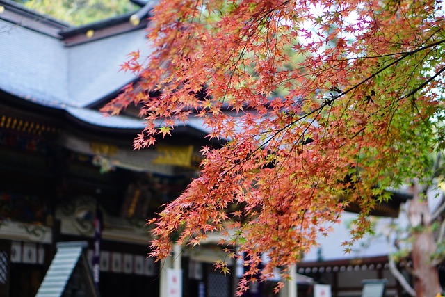 龍の花嫁は鬼の嘘に溺れるネタバレ最終回結末！原作小説はなろう？